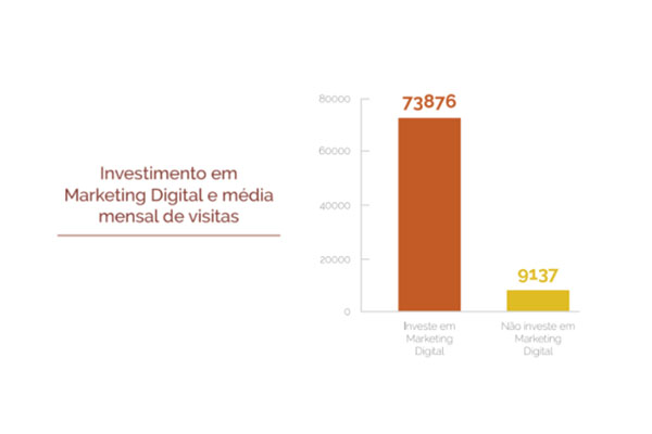 Investimento em Marketing Digital e média mensal de visitas